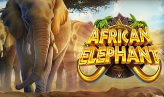 Demo Slot African Elephant